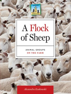 cover image of Flock of Sheep